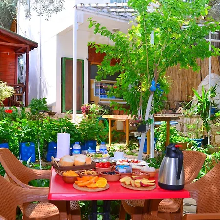Hotel Efe