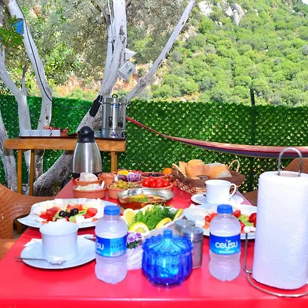 Efe Kas